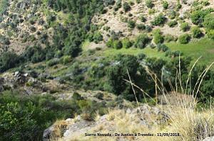 24 SIERRA NEVADA DE UGIJAR A TREVELEZ (107)